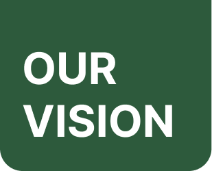 our vision